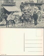 NAPOLI PRIMI 900(CARRETTO DA TRASPORTO CON ASINO,BUE & CAVALLO)BELLA/R@R@-62136