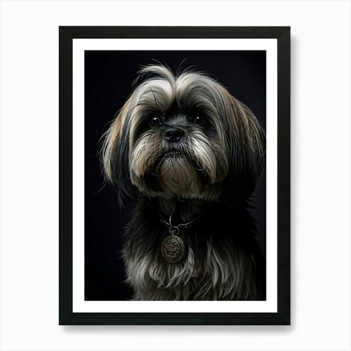 Poster lhasa apso cane - cane, età