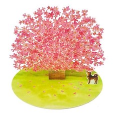 Sakura Biglietto Pop-Up Fiori