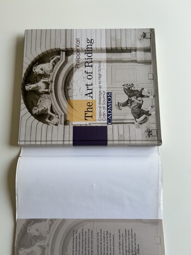 The art riding classical - art,