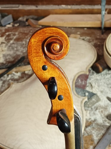 Violino liuteria 4 made - di,