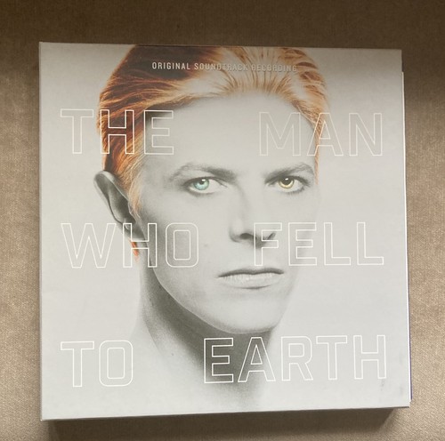 The man who - fell, earth