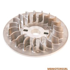 SEMIPULEGGIA MOTRICE FISSA