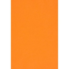 5 FOGLI  di GOMMA EVA