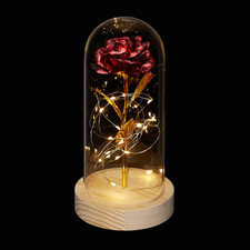 Rosa Eterna, Campana Di Vetro