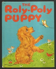 Vintage Children's Wonder Book