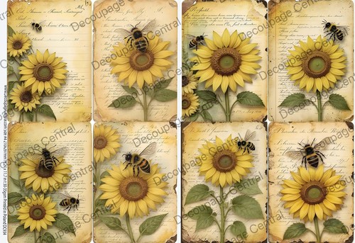 Api girasole 934 - |, carta