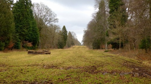 Photo 6x4 cirencester park 17 - 6x4,