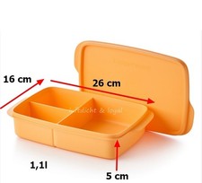 Tupperware pausa box - pausa,