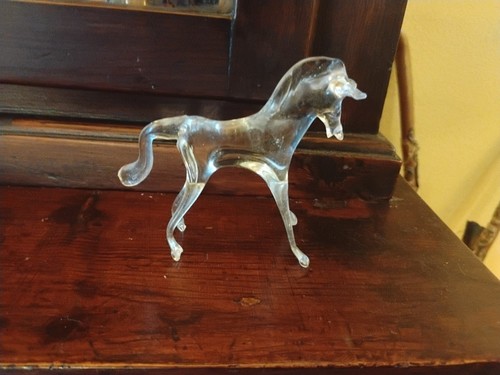 Cavallo vetro di - vetro, murano