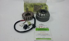 STATORE MAGNETE VOLANO ROTORE