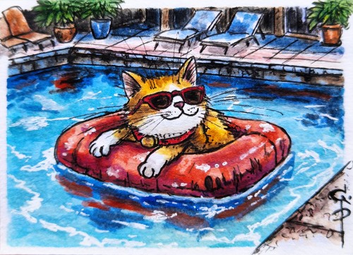 Quadro gatto aceo - gatto, in