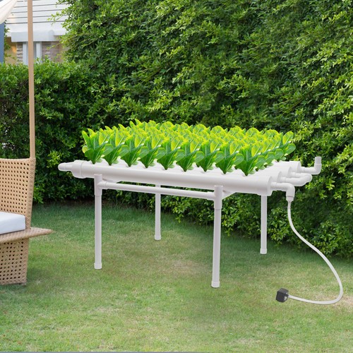 Fori hydroponic grow pianta - 36,