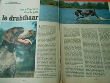 1980 Coupure de Presse