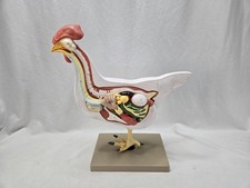 Eisco Labs Pollo Pollo