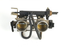 Corpo Farfallato Completo di