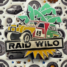 Spilla da collezione -