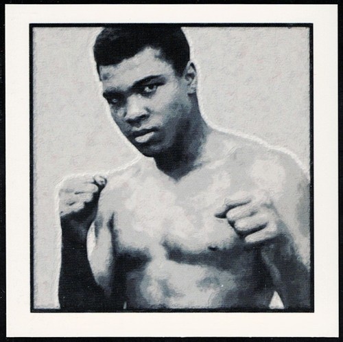 Muhammad ali 2007 benoit - ali, maxim