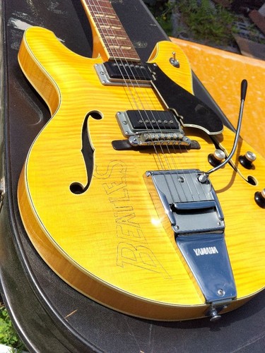 Yamaha yellow chitarra - yellow,