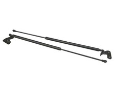 Rear tailgate shock - tailgate,