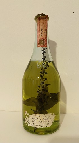 Romano levi serafino grappa - levi,