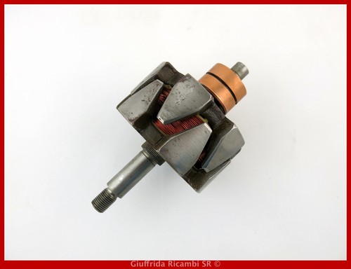 Rotore indotto alternatore - rotore,