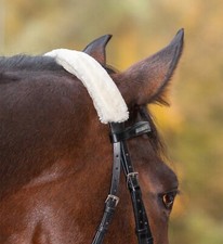 SOVRACAPO PARANASO IN