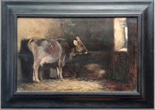 RONTINI FERRUCCIO – Vitello in stalla