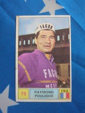 Sticker Panini Raymond