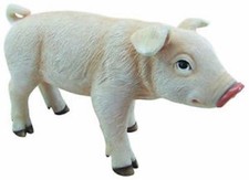 MAIALE ANIMALE RESINA PER
