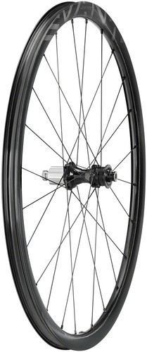 Ruota posteriore campagnolo - ruota,