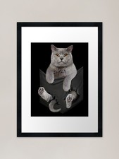 Divertente gatto britannico a