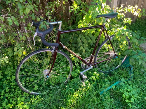 Vintage bianchi limited road - bianchi,