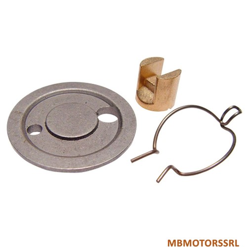 Kit funghi sezionatori - funghi,