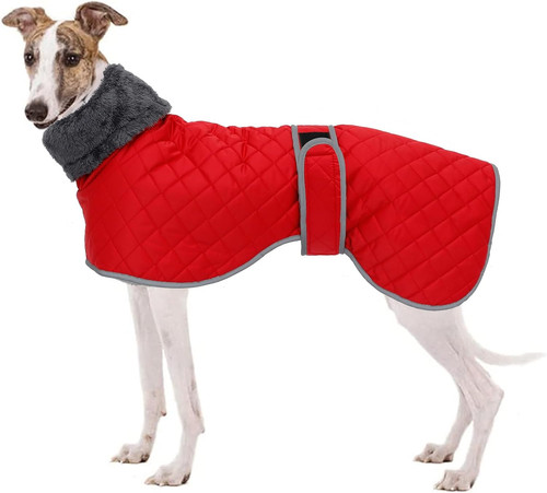 Cappotto levrieri - cappotto,