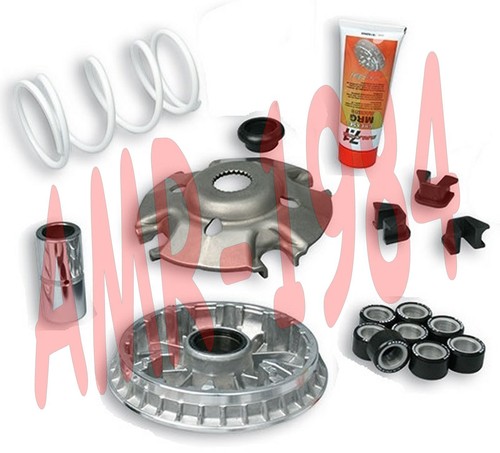 Variatore malossi multivar - variatore,