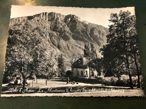 Rara cartolina - rara,