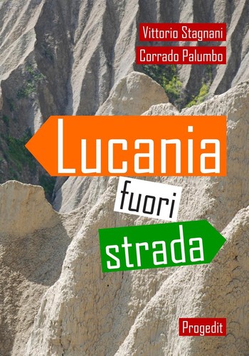 Libro vittorio stagnani - libro,