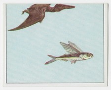 Vintage Figurine Panini