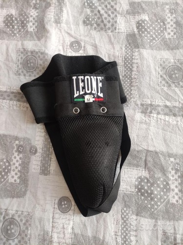 Conchiglia leone taglia - leone,