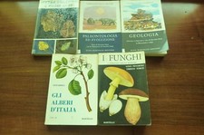 Alberi Italia - Funghi