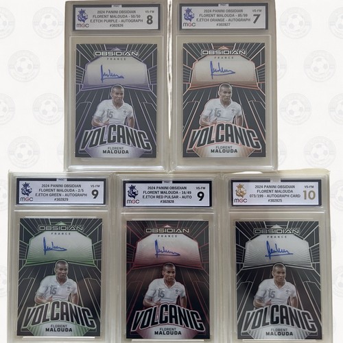 Florent malouda france panini - malouda,