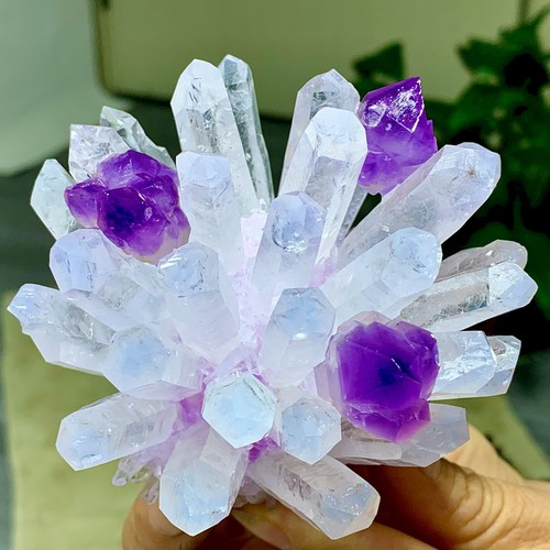 418g new find bianco viola - find,