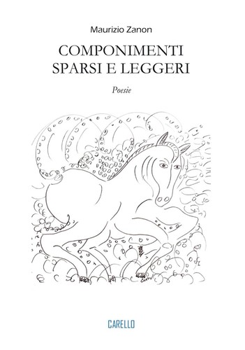 Libro maurizio zanon - libro,