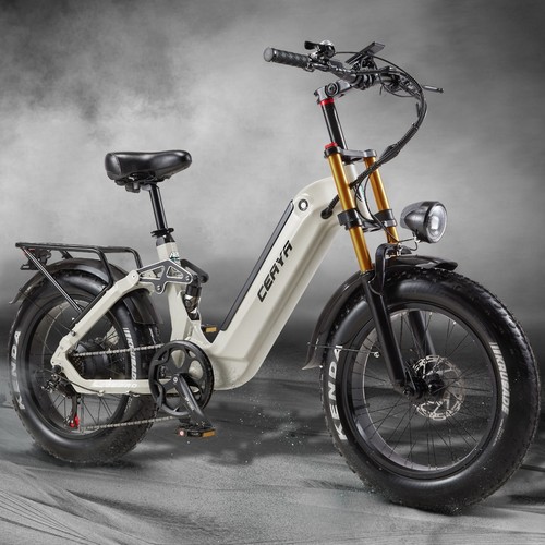 Bicicletta elettrica 48v 20ah - bicicletta,