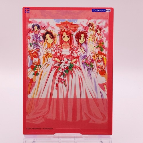 Wedding love hina tore - love,