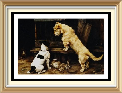 Stampa artistica animale lucy - stampa,