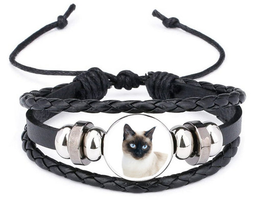 Siamese cat pet black - cat,
