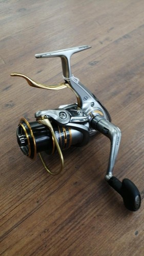 Daiwa plaiso lbd - 13,