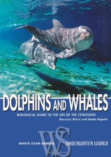 Dolphins and Whales (White